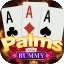 new rummy game 2025