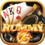 cici rummy